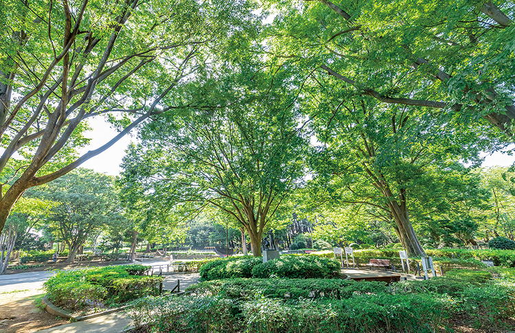 北習志野近隣公園