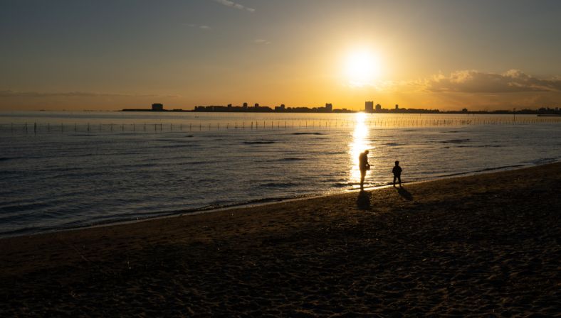 ふなばし三番瀬海浜公園