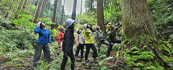 2025年度グッドデザイン賞受賞　流通改革による日本の森林を守る取り組み