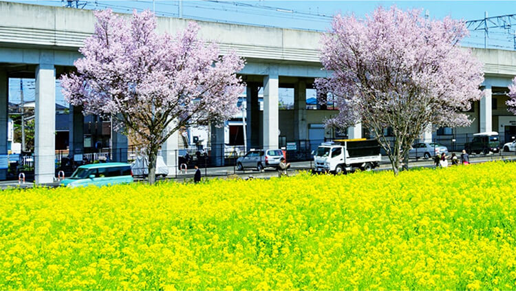 ザ・パークハウス 横浜川和町ガーデン