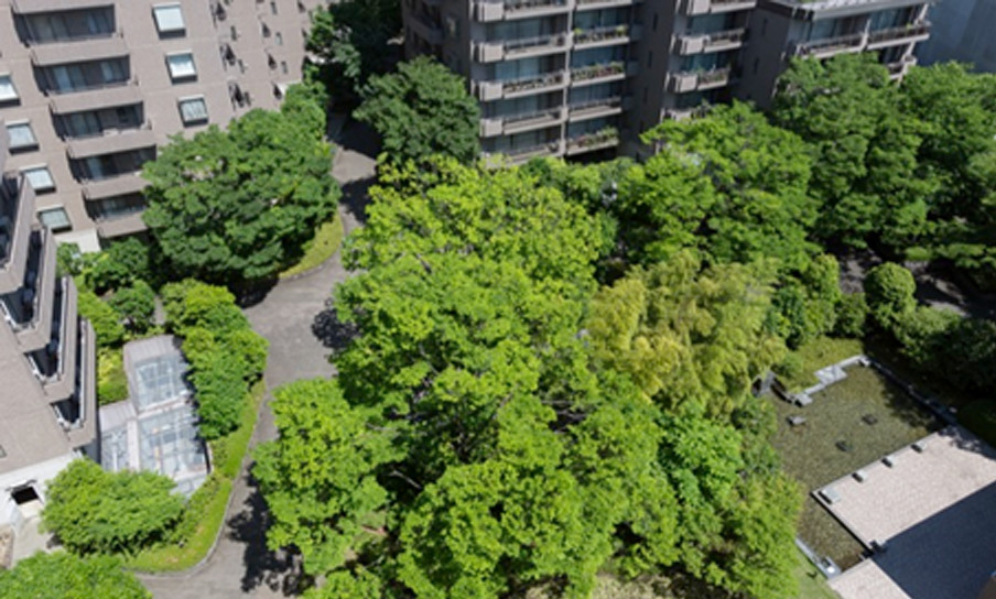 屋上より北街区の洋風庭園を望む。