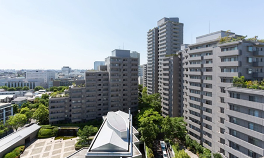 北街区の屋上より、南街区を望む。各棟のルーフバルコニーも緑であふれていることがわかる。