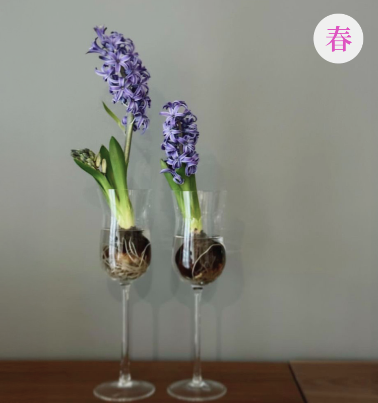 春は植物が成長する季節。球根から芽吹く花や切花でも勢いを感じさせる明るいピンク・柔らかい緑色のものを飾る。