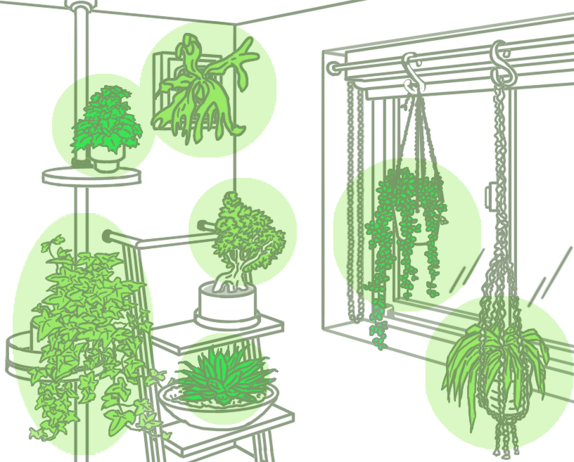 空間を有効活用したいなら、吊るして飾るハンギングがオススメ