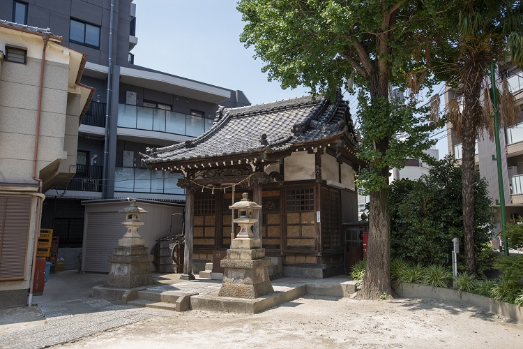 ▲氷川神社は住宅街のエアポケットのような存在。静かな時間が流れている