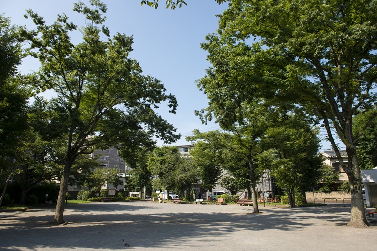 ▲近隣の人たちの憩いの場となっている末広公園。子ども連れでゆっくり遊べそう