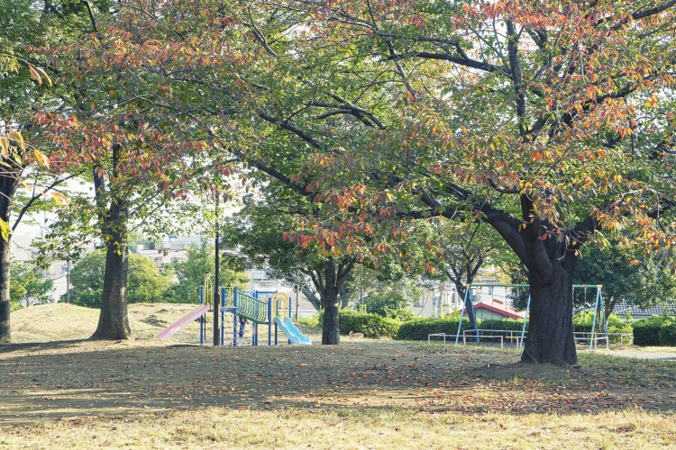 近隣の公園、入江町公園。遊具広場、原っぱ、自由広場の3エリアがある。