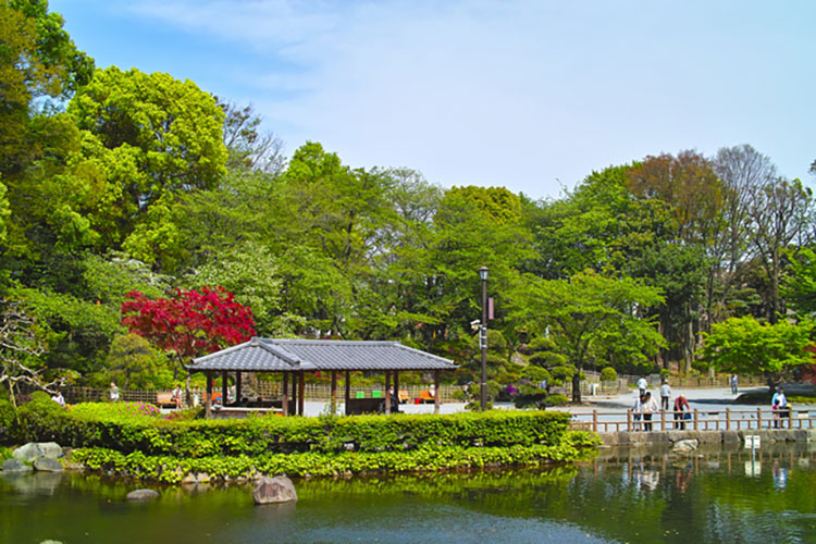 ▲大名庭園の雰囲気が感じられる戸越公園。ほかにも文庫の森（旧三井文庫）や、しながわ中央公園など自然豊かな環境も魅力