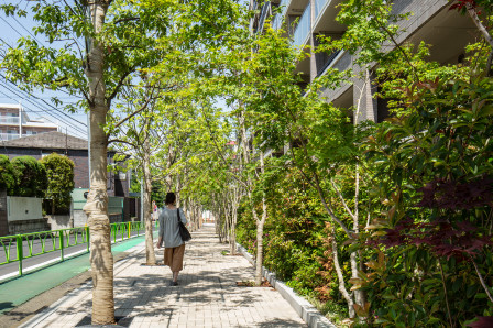 2列並木の歩道状空地が南北の緑道をつなぎ、緑がまちへと広がる。