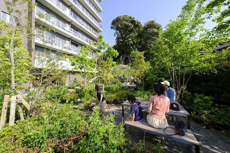 ⑦林縁の庭園にアクティビティが生まれた(+26.5)