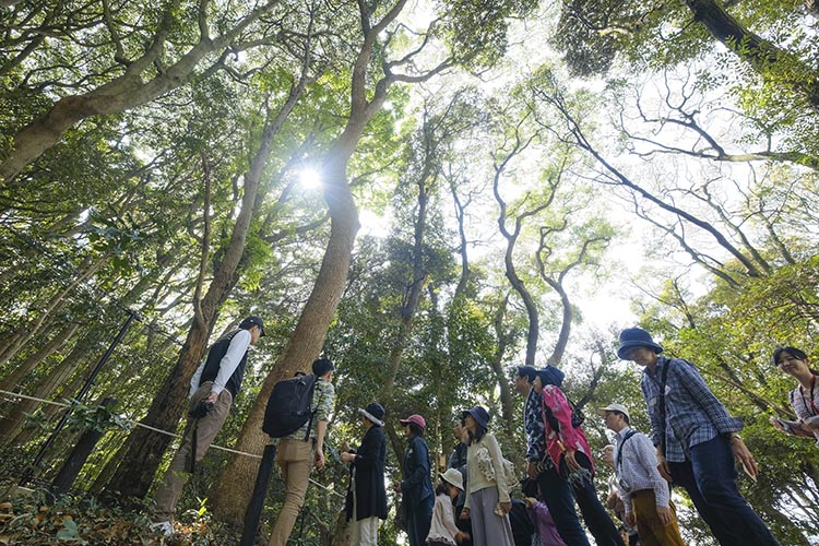 ⑨極相林を舞台に自然観察会を展開する(+37.0)