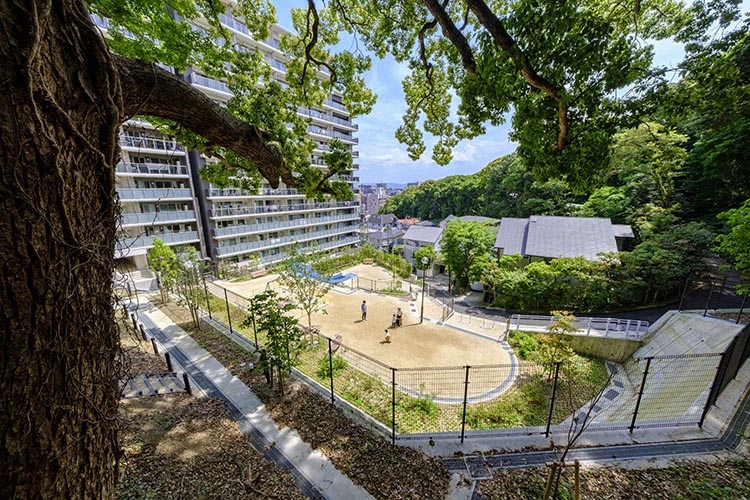 ⑪林縁の広がりを提供公園として地域開放(+19.7)