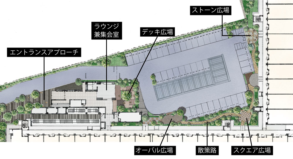 自然と触れ合える散策路