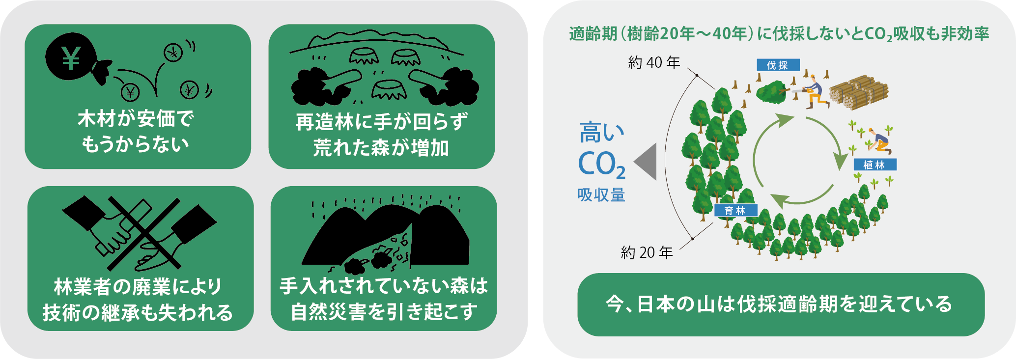 国内林業の深刻な現状