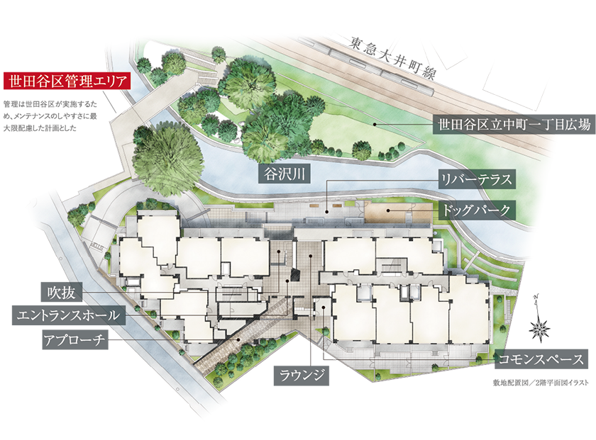 鬱蒼と生い茂る雑木林を開放的な広場として再生、緑陰の風景を創出