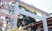 上野恩賜公園にある五條天神社。