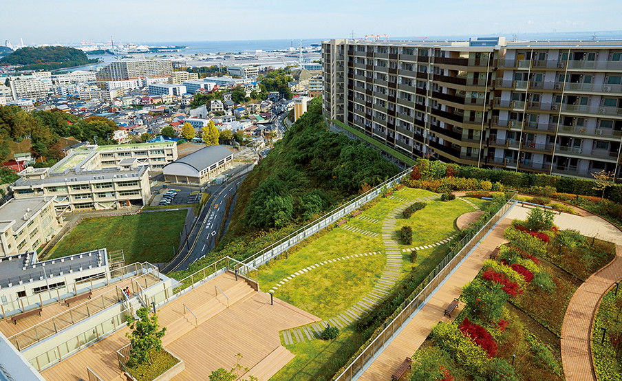 上層階から見下ろした屋上庭園。季節ごとに色合いが変わる草花も楽しみのひとつだ。