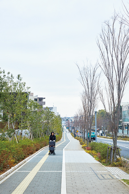 都市計画道路として新たに整備された〈はばたきのみち〉。『奏の杜forte』から西に向かって走る道で、幅員16～21m、約620mにわたって延長されている。