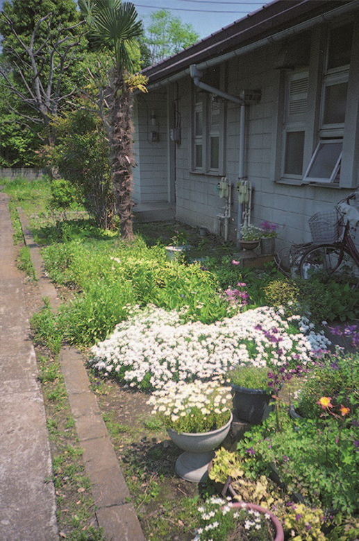 歩道脇には、直接植えられた木々や鉢植えの草花が。