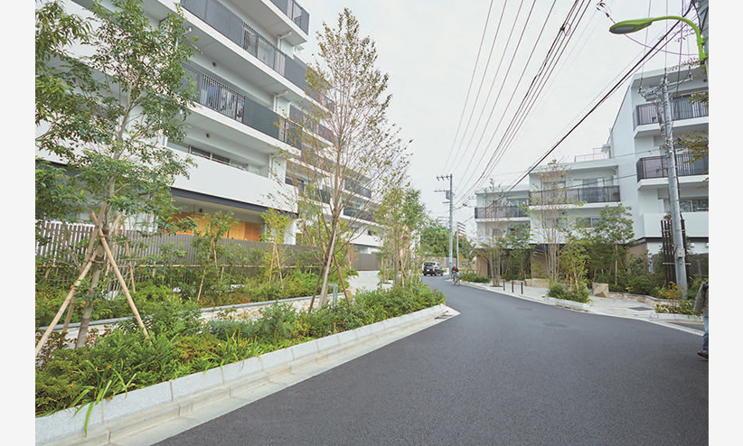 新たにつくられた開発道路。