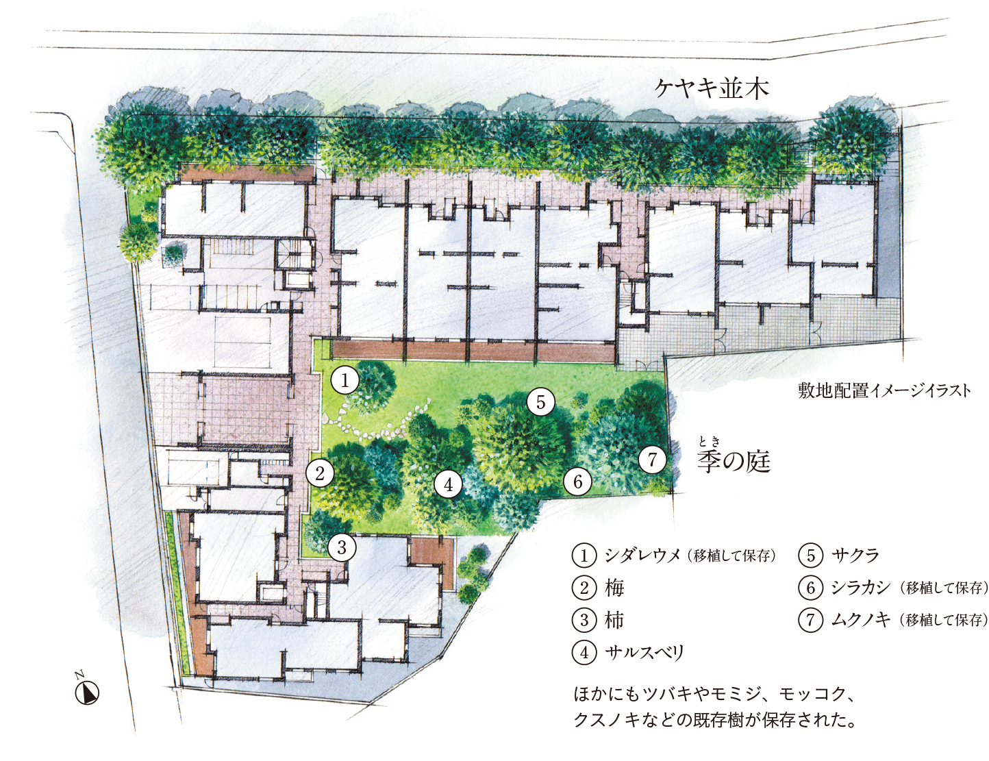 ケヤキ並木と中庭（季の庭）の美しさを引き出すプランニング