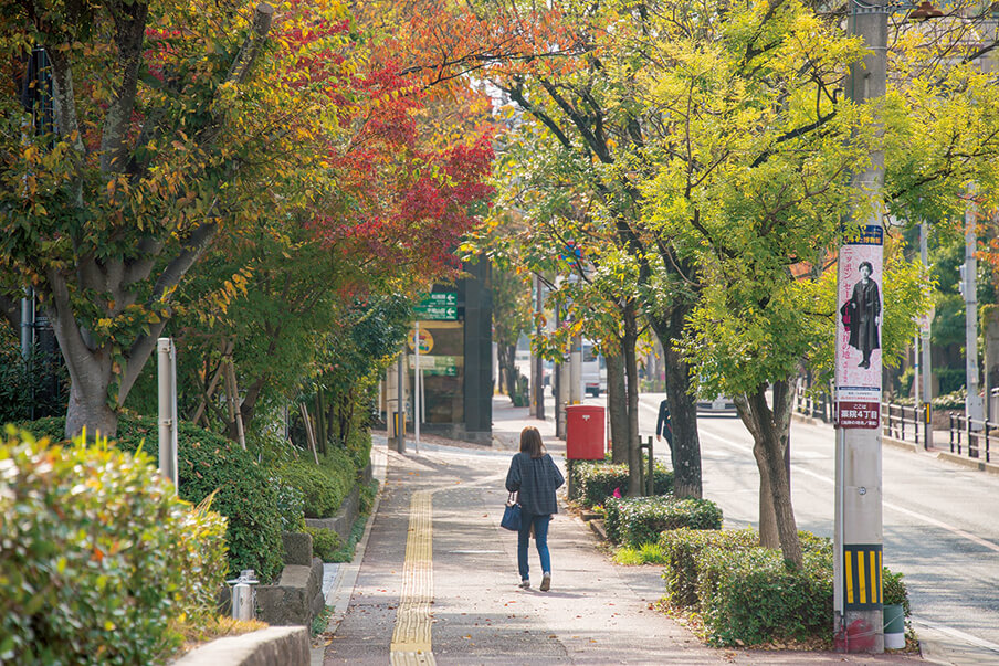 美しい街路樹が四季折々の表情を見せてくれる浄水通り。