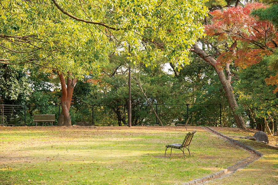 小高い丘となっている「浄水緑地」。福岡市動植物園を中心に緑が豊富なのも平尾エリアの魅力。