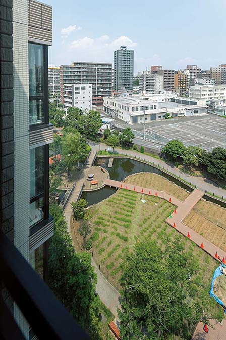 南東角SLタイプのモデルルームから横十間川親水公園を見下ろす。