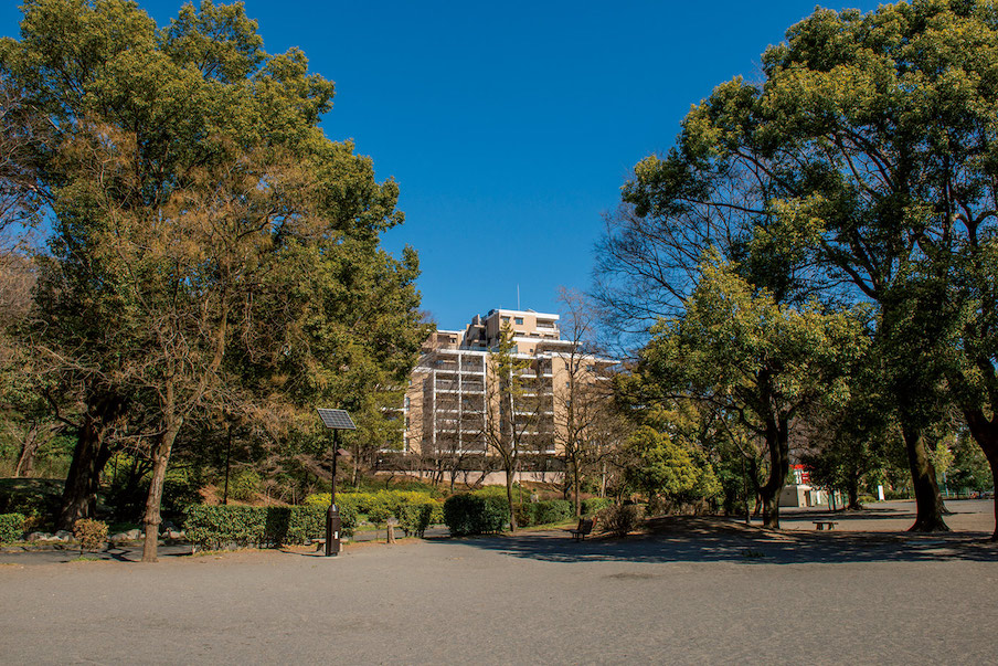 戸山公園のほとりに佇む『ザ・パークハウス 早稲田』。まさに緑に包まれた住まいと言える。