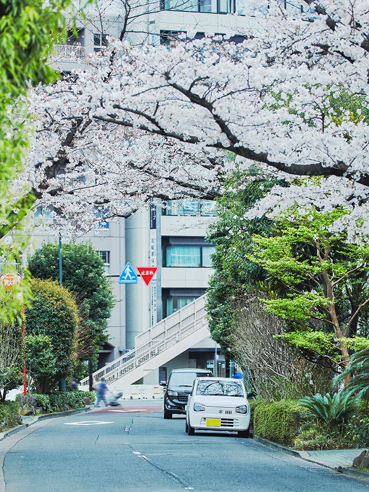 喧噪から、静謐へ。大通りから一歩中に入ると現地周辺の雰囲気は一変する。(物件より約30m)