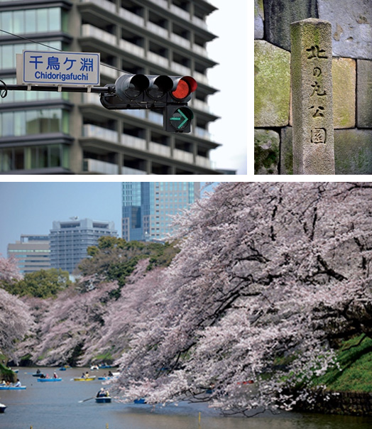 武蔵野台地から、かつての日比谷入江へと注ぐ川の流れをせき止めて作られた千鳥ヶ淵。岸辺は自然の地形が残っており、春には満開の桜で埋め尽くされる。