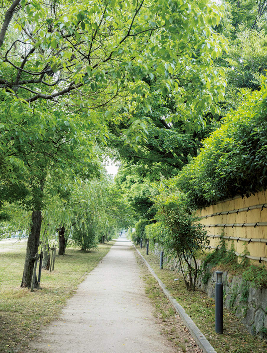 二条通から丸太町通に抜ける川沿いの遊歩道。