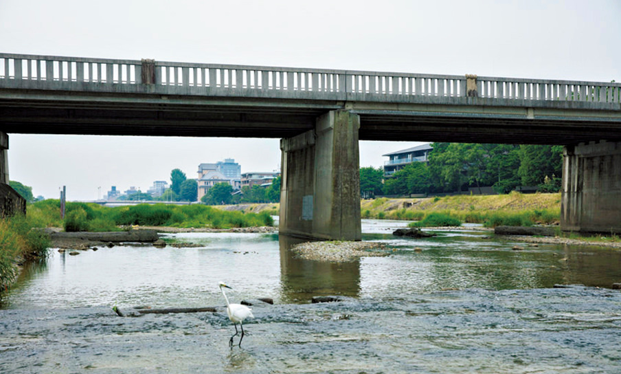 荒神橋の下､右河畔に『ザ･パークハウス 京都鴨川御所東』が見える。