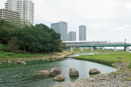 多摩川河川敷には兵庫島公園や多摩川二子橋公園など緑豊かな憩いの場所が。