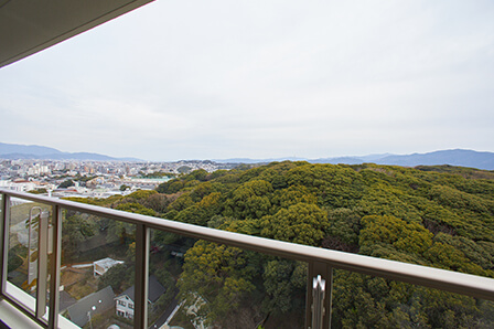 緑の森と、奥に続く山の連なり。天空から森や鳥の姿を見下ろす気分はまた格別だ。