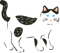 707号室の住人、ハチワレ模様の猫のイラスト