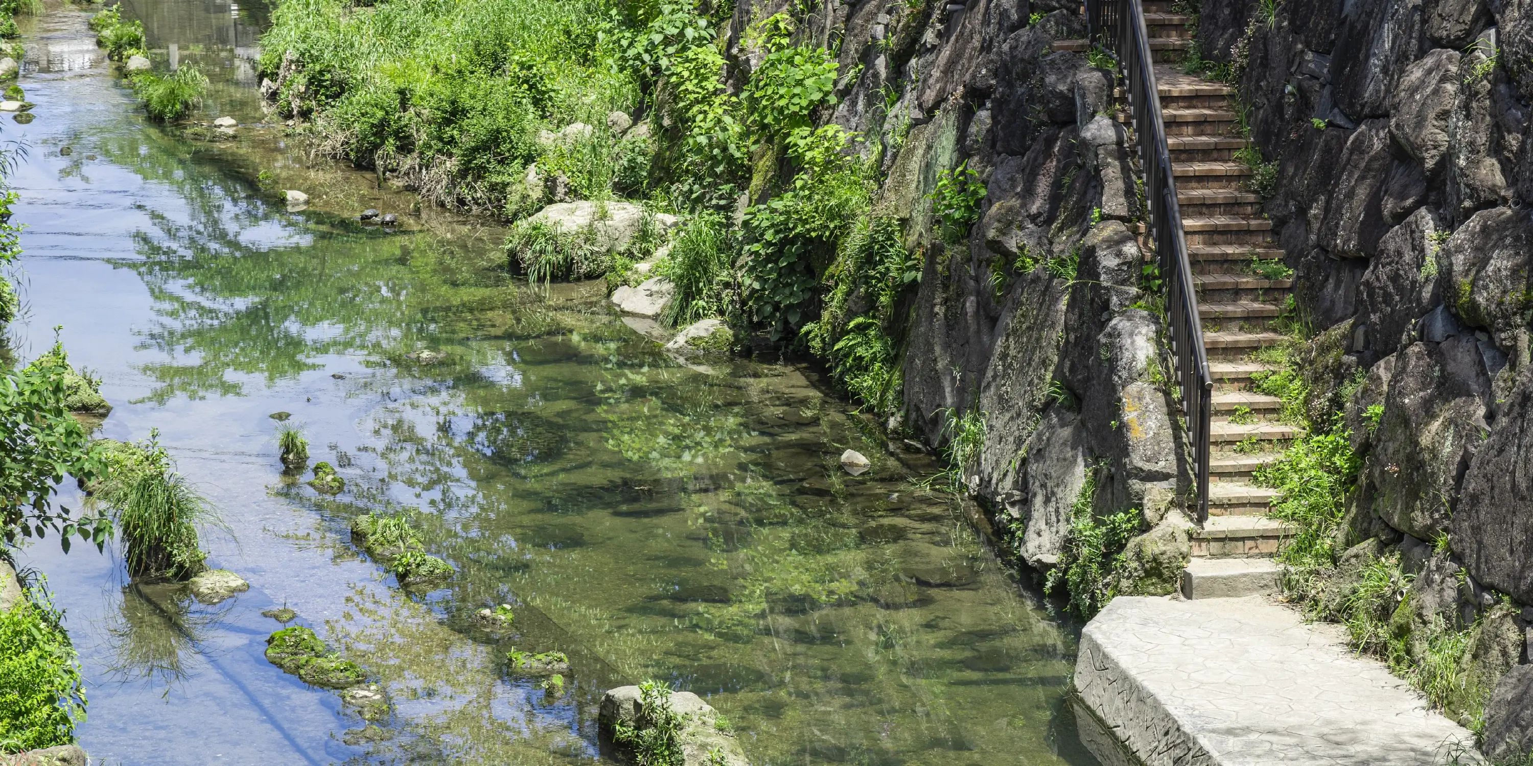 山崎川