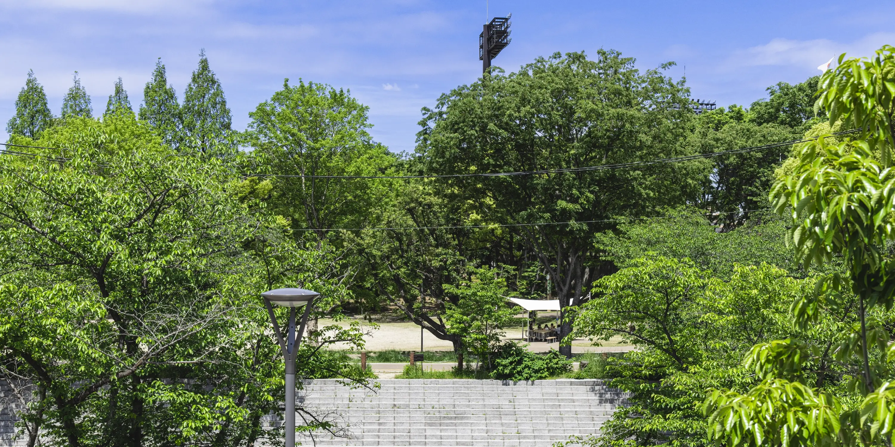 瑞穂公園