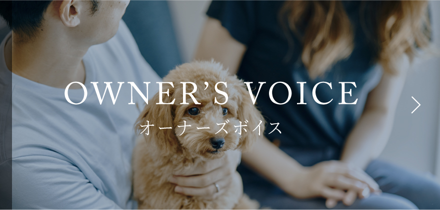 OWNER'S VOICE