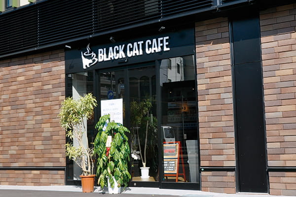 BLACK CAT CAFE