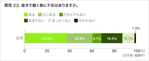 質問 23. 海外で働く事に不安はありますか。