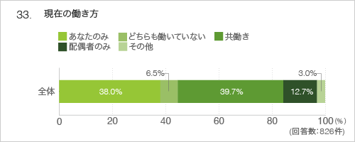 33.現在の働き方