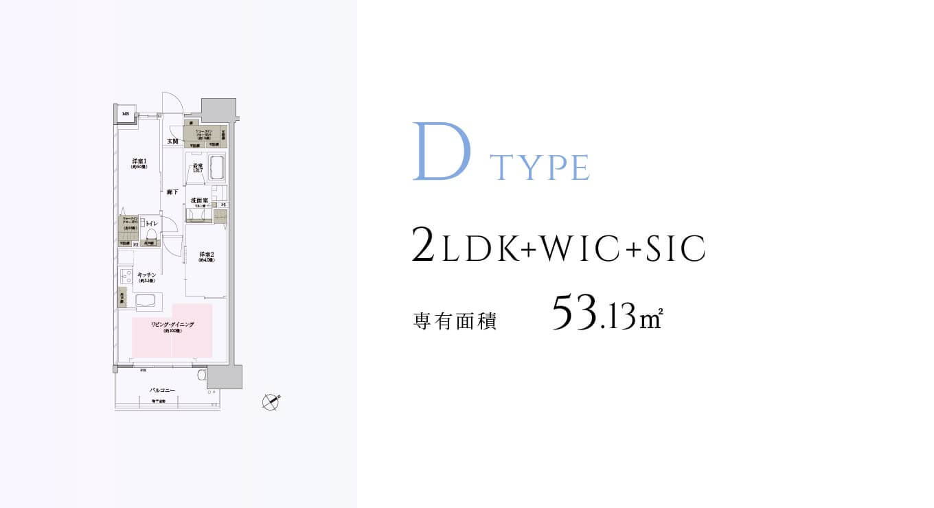 D type