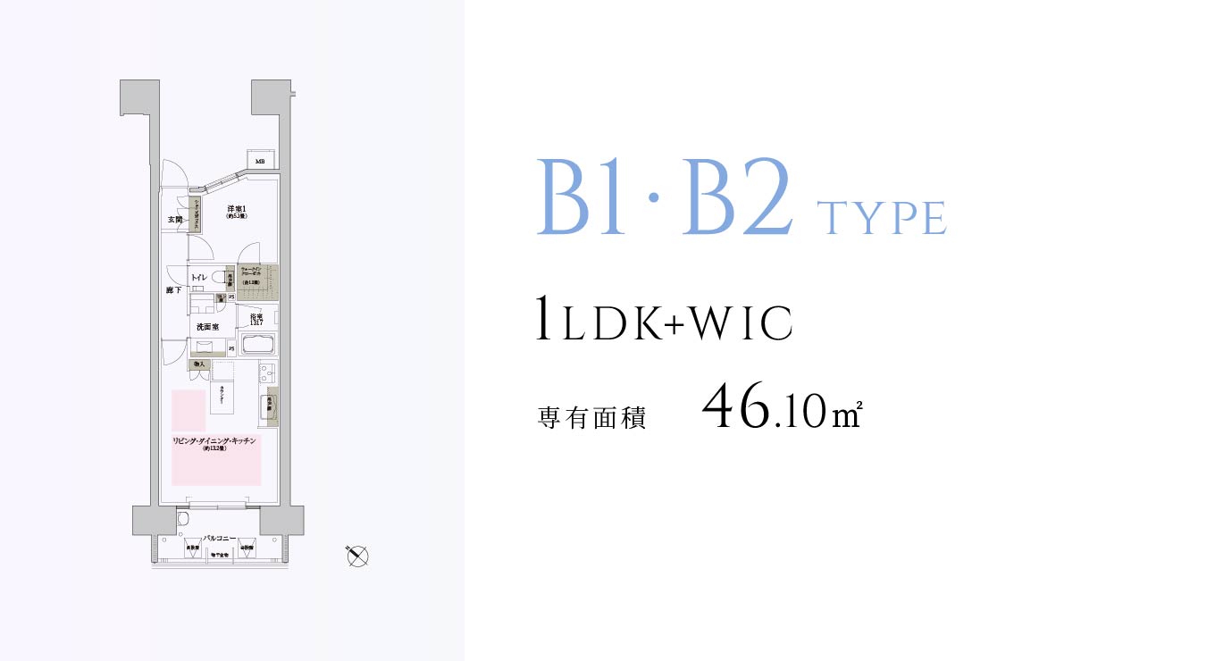 B1・B2 type