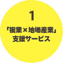 1 「複業×地場産業」支援サービス