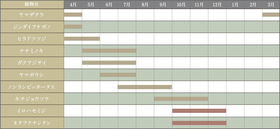 主な植栽の開花・紅葉時期
