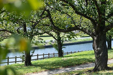 荒川赤羽緑地