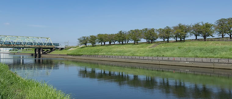 荒川赤羽緑地（徒歩15分／約1,200m）