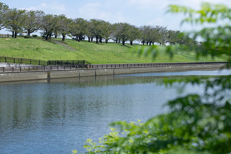 荒川赤羽緑地（徒歩15分／約1,200m）