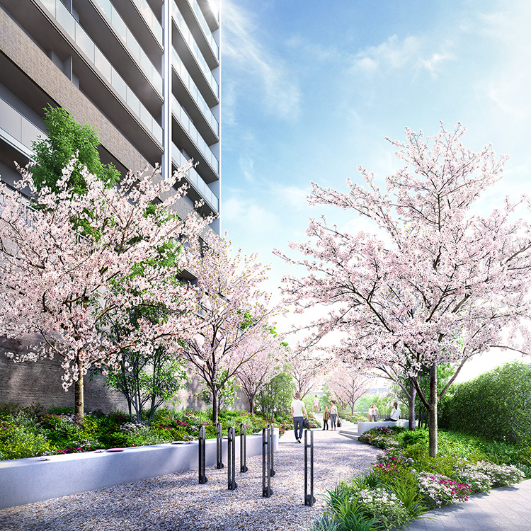 プロムナード(桜の路)完成予想CG